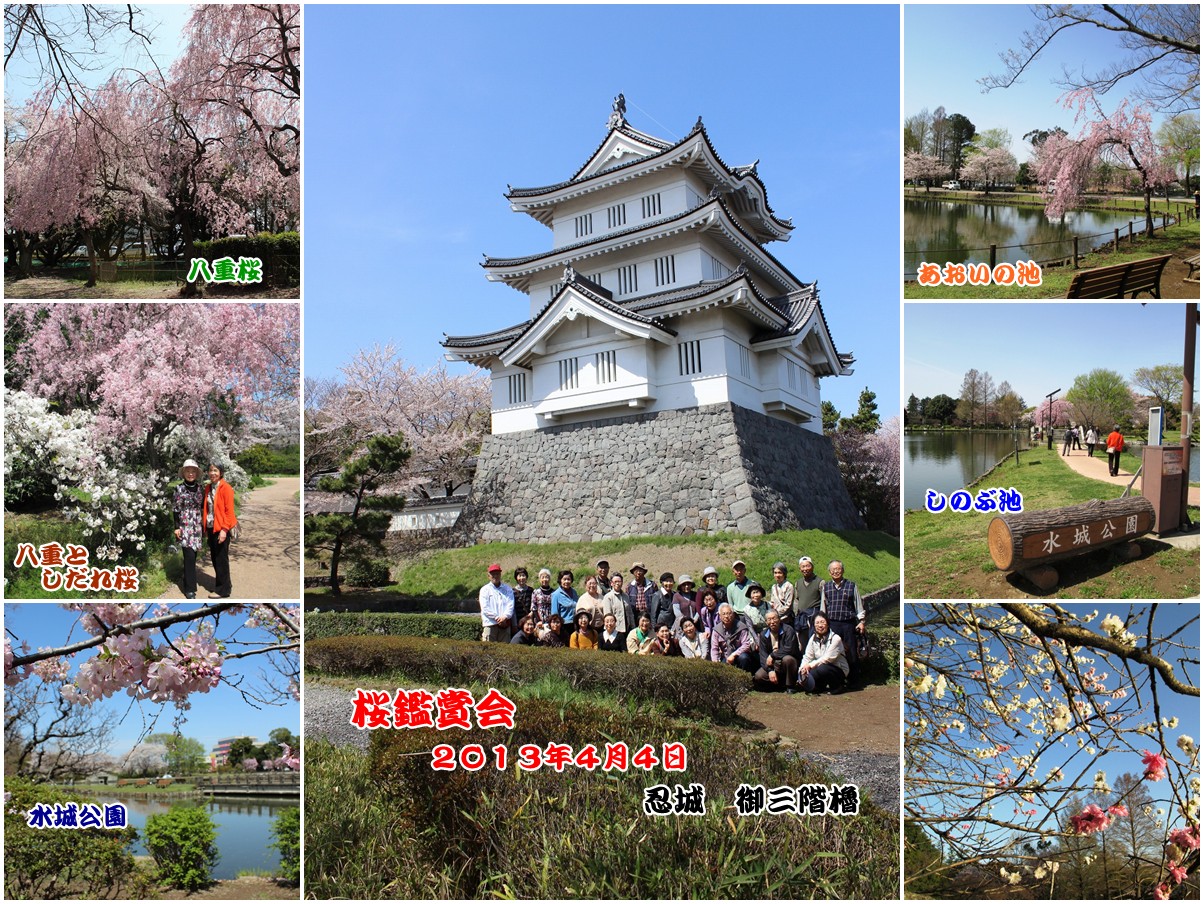 アルバム(岡村)